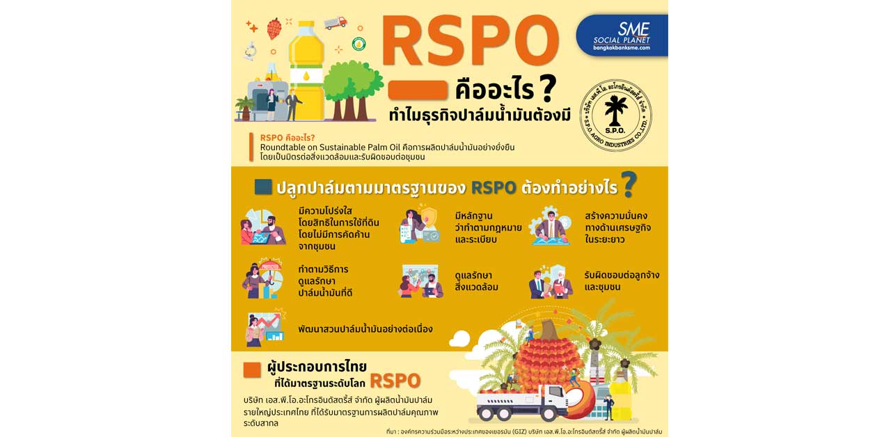 มาตรฐาน RSPO คืออะไร? ทำไมธุรกิจปาล์มน้ำมันต้องมี