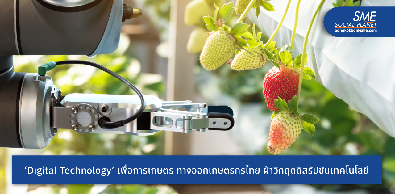 เจาะ 5 Digital Technology เคล็ดลับสู่เส้นชัยและความยั่งยืนของอุตสาหกรรมการเกษตรไทย