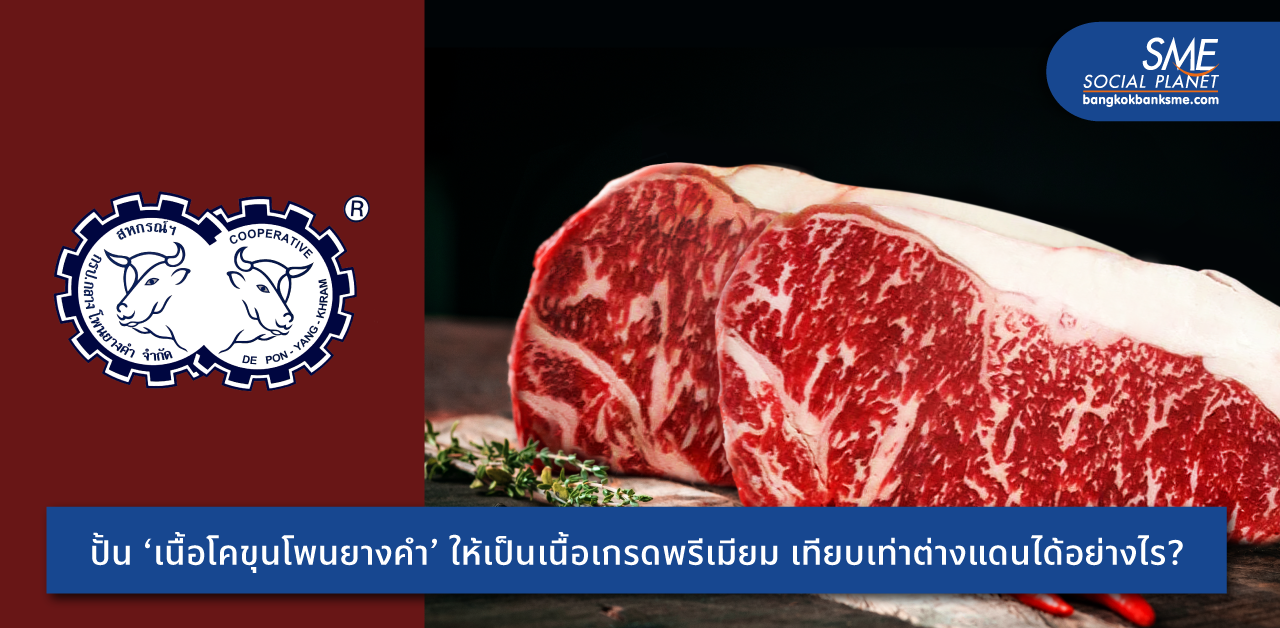 ย้อนตำนานความอร่อย ‘เนื้อโคขุนโพนยางคำ’ ยกระดับการผลิตเนื้อโค Local สู่เนื้อคุณภาพมาตรฐานสากล