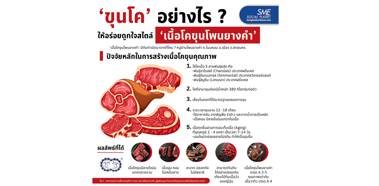 ปั้นเนื้อโค Local ให้เป็นเนื้อพรีเมียม ตามแบบฉบับ ‘เนื้อโคขุนโพนยางคำ’ ต้องทำอย่างไร ?