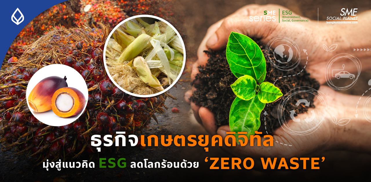 Zero Waste Agriculture ธุรกิจเกษตรยุคใหม่เปลี่ยนขยะเป็นศูนย์ สร้างความยั่งยืนให้โลก