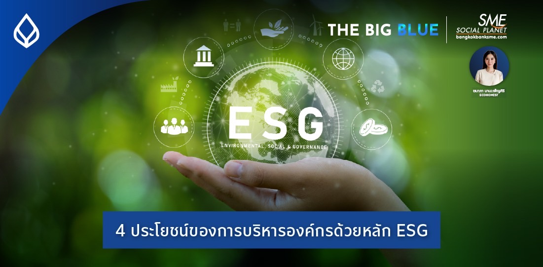 The Big Blue | 4 ประโยชน์ของการบริหารองค์กรด้วยหลัก ESG
