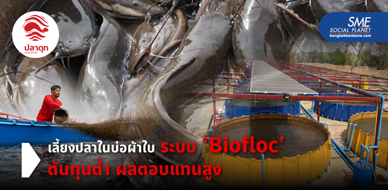 วิธีเปลี่ยน สร้างผลลัพธ์ใหม่! ‘ฟาร์มปลาดุกหนองคาย’ เพิ่ม Productivity ด้วยแนวคิดเกษตรยุคใหม่