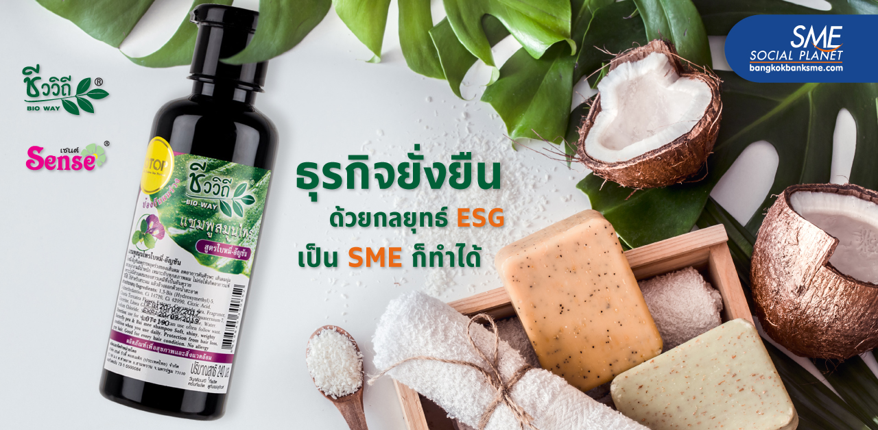 วิเคราะห์โมเดลธุรกิจ ‘เซนต์ บิวตี้ คอสเมติก’ ตัวอย่าง SME โตยั่งยืนด้วยกลยุทธ์ ESG