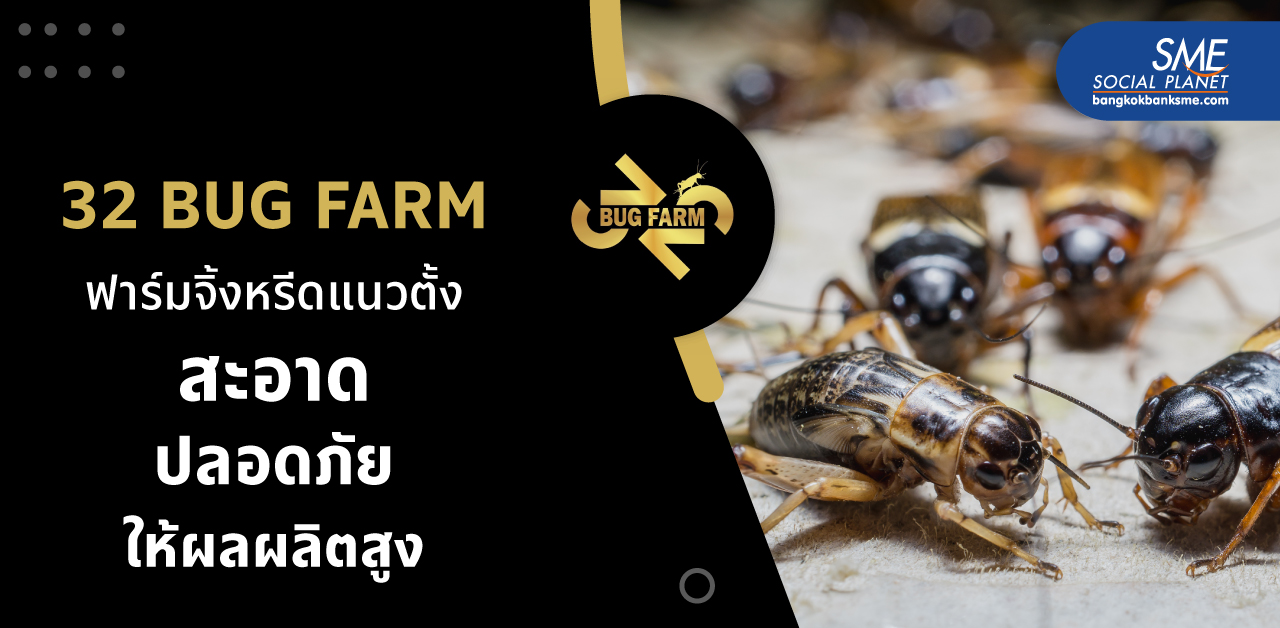 32 BUG FARM นวัตกรรมฟาร์มจิ้งหรีดแนวตั้ง โปรตีนทางเลือกจากแมลงสู่จุดเปลี่ยนของอุตสาหกรรมอาหาร