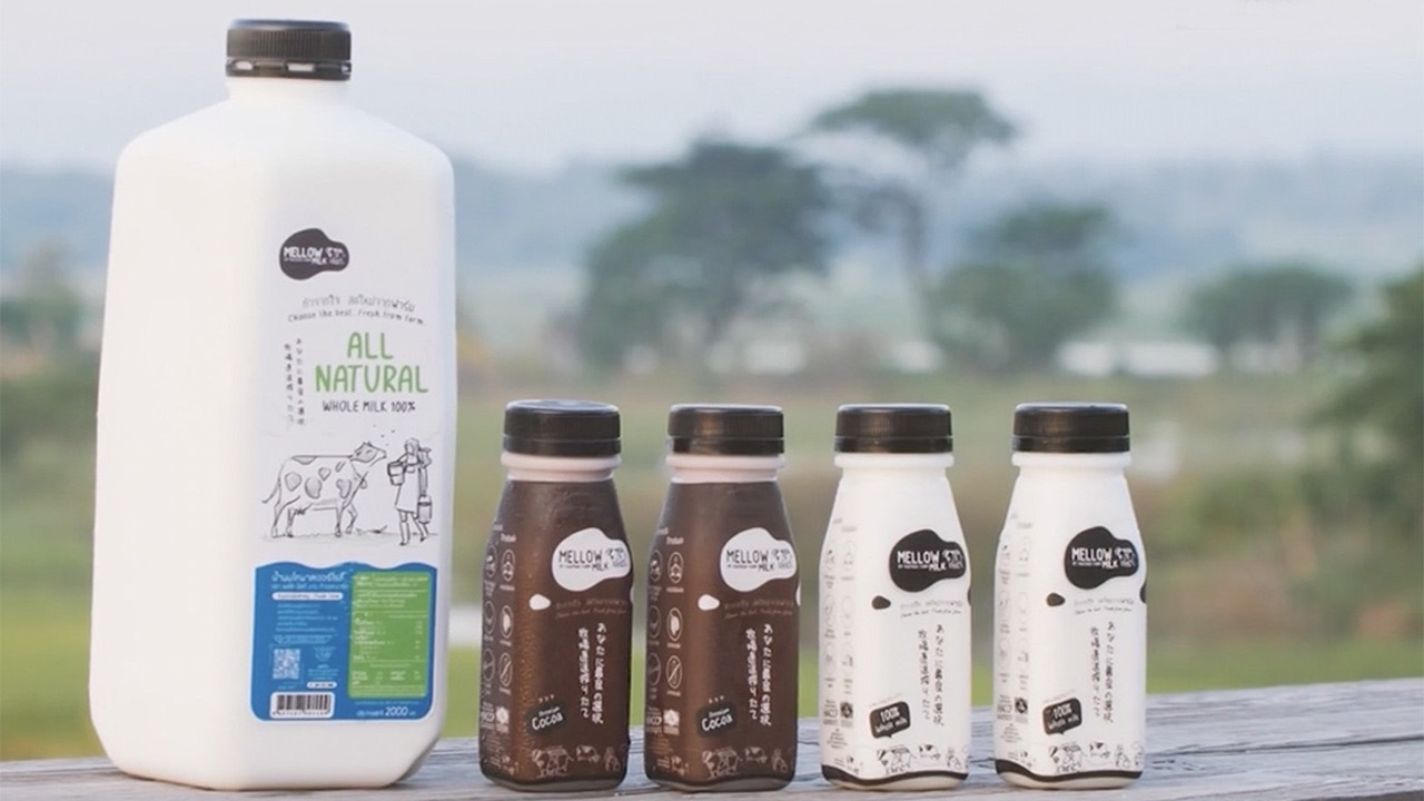 SME ต้องขยาย ตอน นมสด Mellow Milk บริษัท โคบาลมิลค์ จำกัด