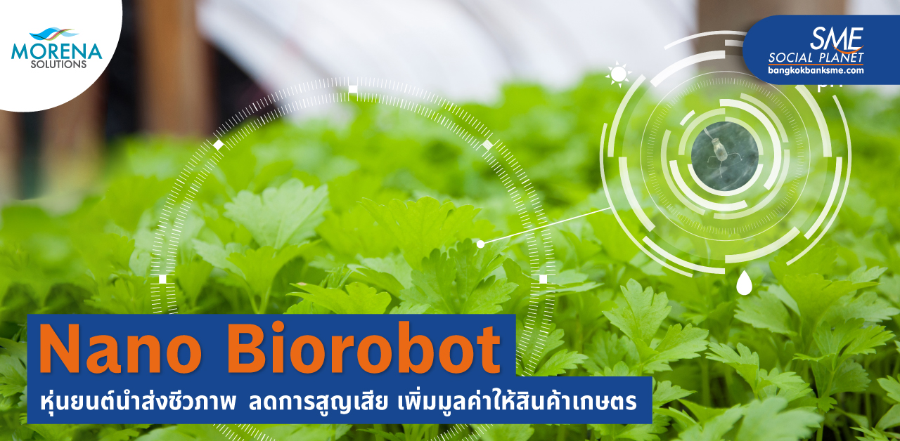 ‘โมริน่า โซลูชั่นส์’ Tech Startup ผู้พัฒนา Nano Biorobot หุ่นยนต์ชีวภาพจิ๋ว เพิ่มมูลค่าสินค้าเกษตร