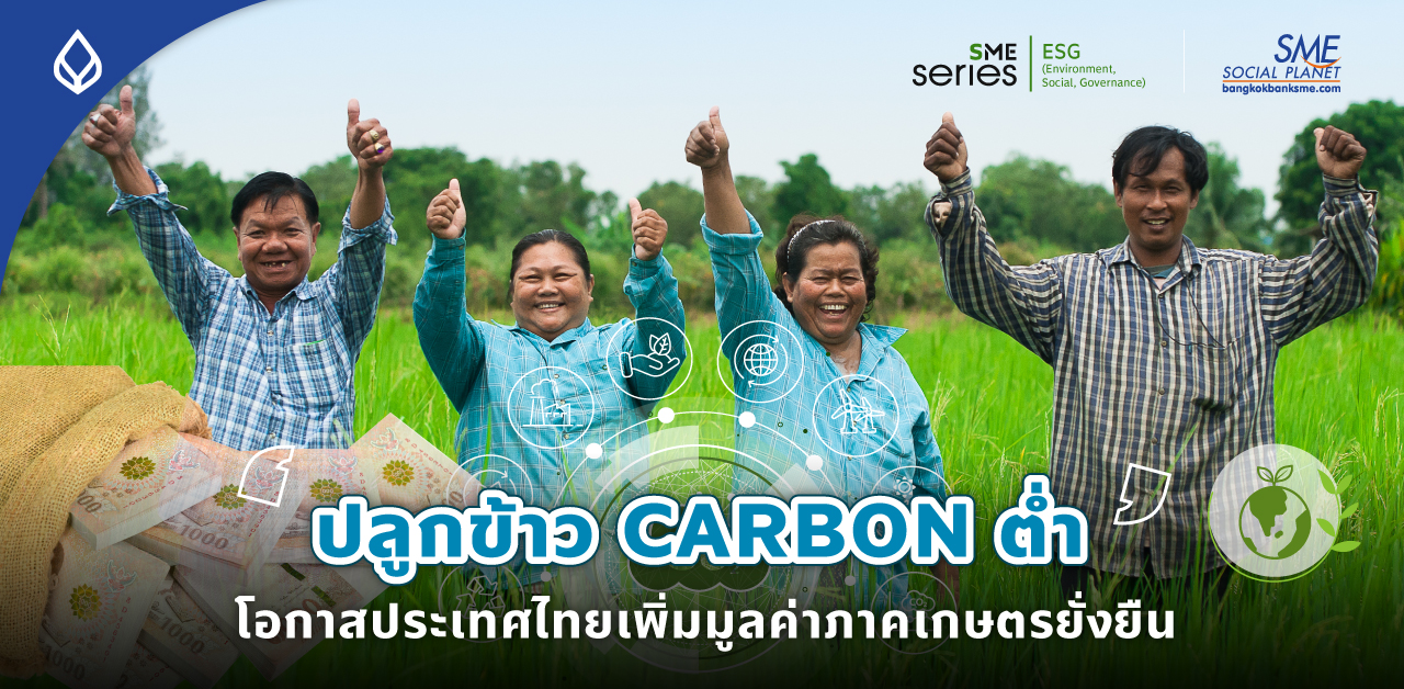 ชี้ช่องเกษตรกรไทย! ปรับตัวลดปล่อย Carbon สร้างรายได้-ลดโลกร้อน