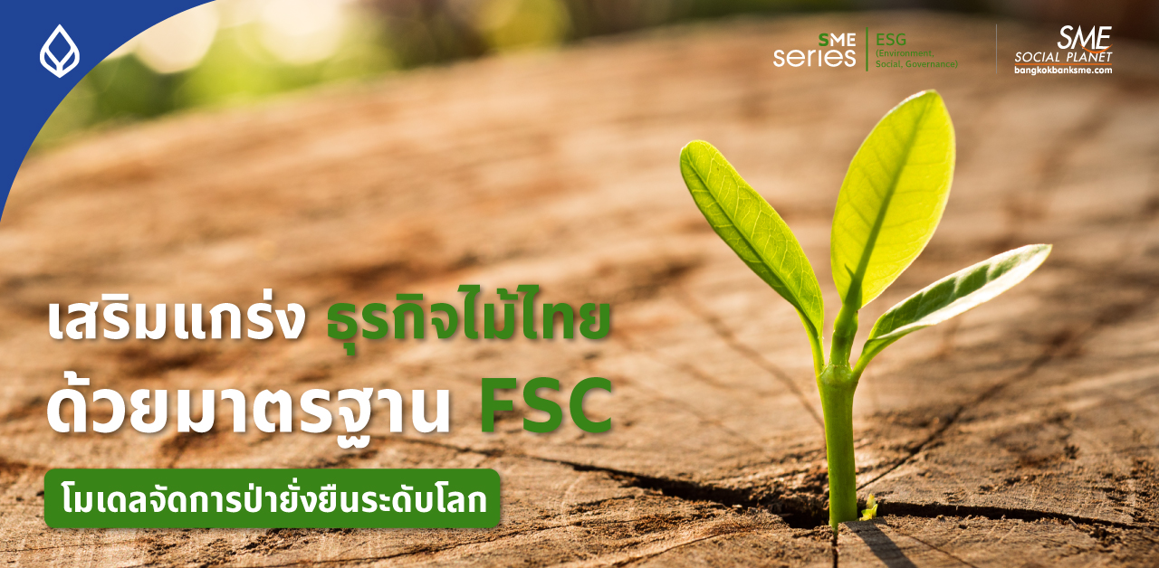 มาตรฐานการจัดการป่า ‘FSC’ ทางออก SME ผลิตภัณฑ์ไม้โตอย่างยั่งยืน