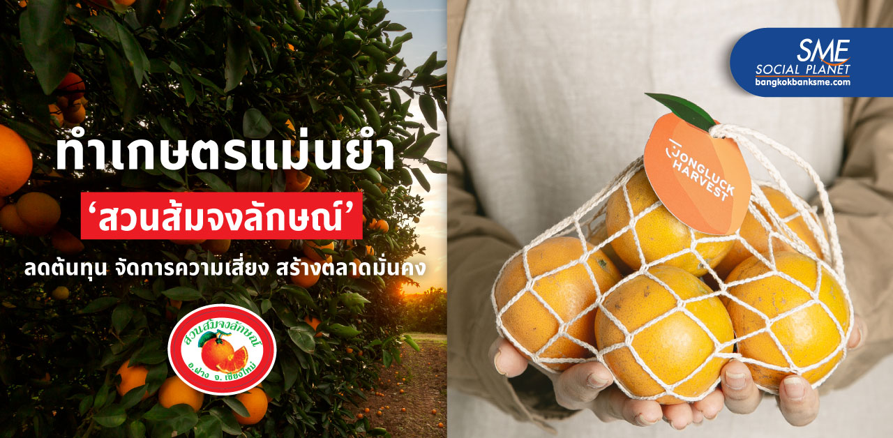 ‘สวนส้มจงลักษณ์’ ธุรกิจยั่งยืน จากแนวคิดทายาทธุรกิจรุ่น 2