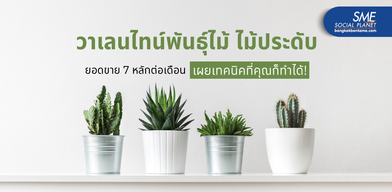 ‘วาเลนไทน์พันธุ์ไม้’ ไม้ประดับ เผยเทคนิคยอดขาย 7 หลักต่อเดือน