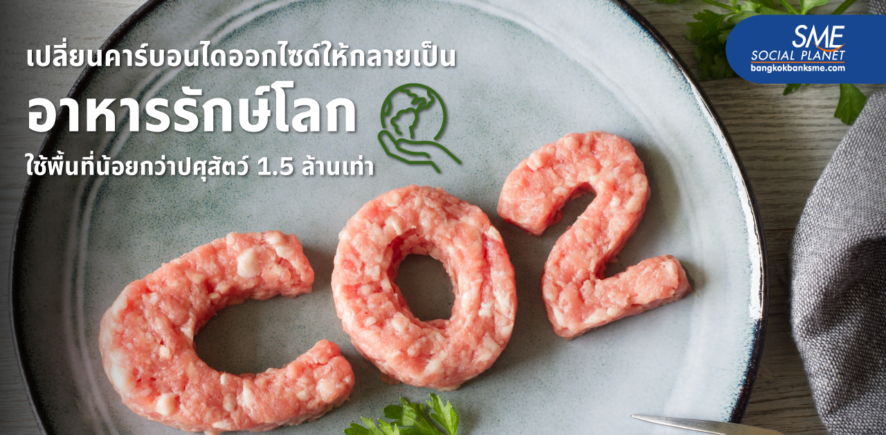 ‘ผงโปรตีนจากคาร์บอน’ นวัตกรรมรักษ์โลก เปลี่ยนคาร์บอนไดออกไซด์ให้กลายเป็น อาหาร ลดโลกร้อน