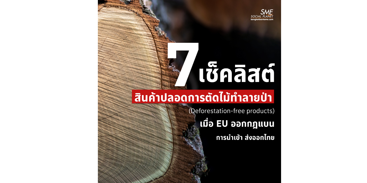 7 เช็คลิสต์ ‘สินค้าปลอดการตัดไม้ทำลายป่า’ (Deforestation-free products) เมื่อ EU ออกกฎแบนการนำเข้า ส่งออกไทย