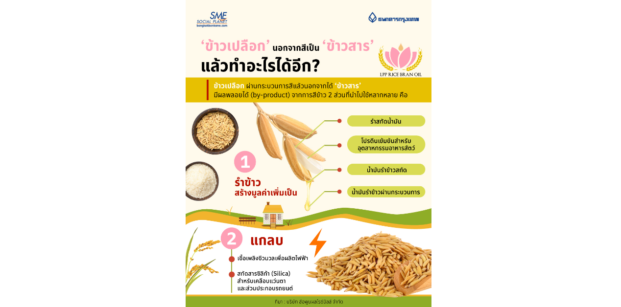 ‘ข้าวเปลือก’ นอกจากสีเป็น ‘ข้าวสาร’ แล้วทำอะไรได้อีก?