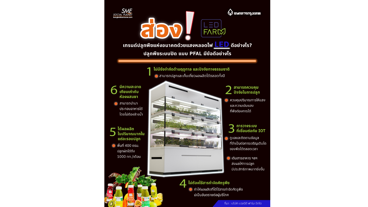 ส่อง! เทรนด์ปลูกพืชแห่งอนาคตด้วยแสงหลอดไฟ LED ดีอย่างไร?