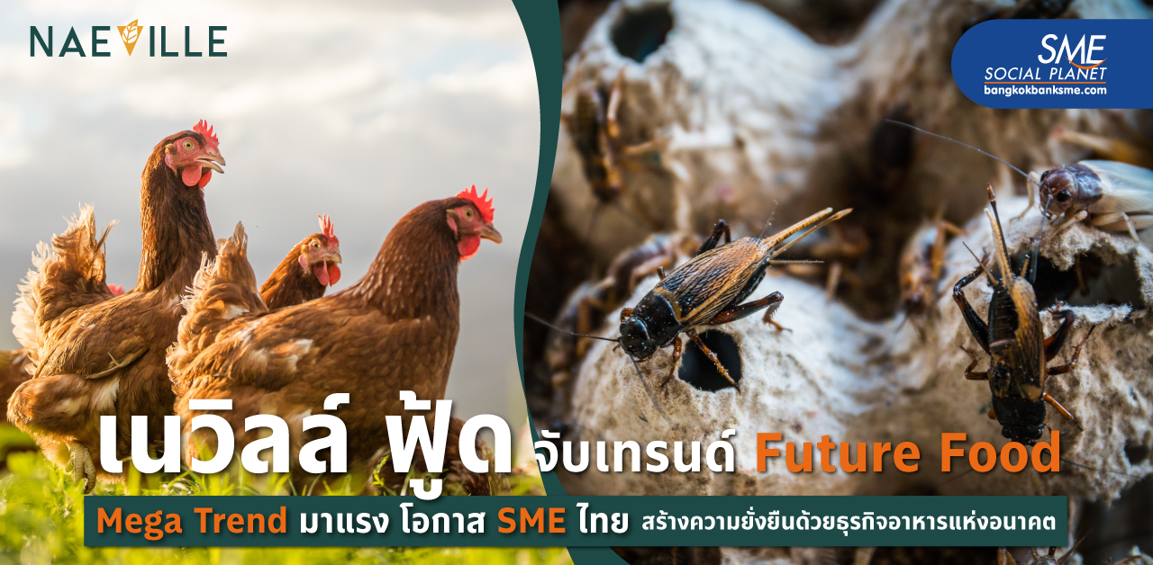 ถอดแนวคิด ‘เนวิลล์ ฟู้ด’ ฟาร์มแม่ไก่อารมณ์ดี - โปรตีนจิ้งหรีด เทรนด์อาหารแห่งอนาคตสร้างความยั่งยืน รับเทรนด์ Future Food