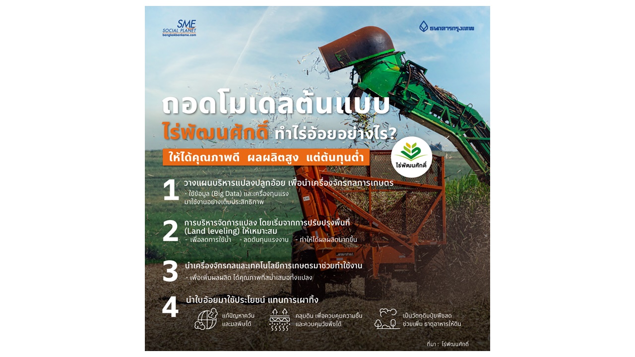 ถอดโมเดลต้นแบบ “ไร่พัฒนศักดิ์” ทำไร่อ้อยอย่างไร? ให้ได้คุณภาพดี ผลผลิตสูง แต่ต้นทุนต่ำ