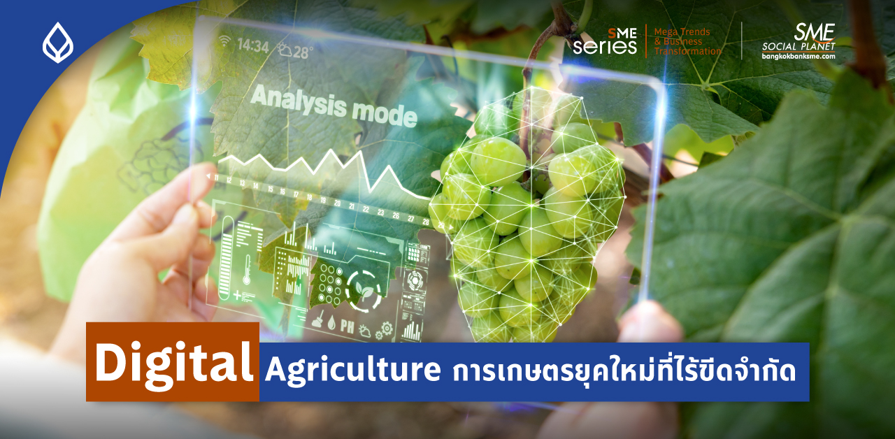 5 เทคโนโลยี AgriTech ที่เข้ามา Transforms วงการเกษตรไทยสู่ยุคดิจิทัล