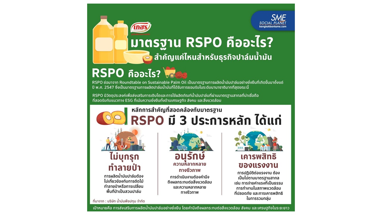 มาตรฐาน RSPO คืออะไร? สำคัญแค่ไหนสำหรับธุรกิจปาล์มน้ำมัน