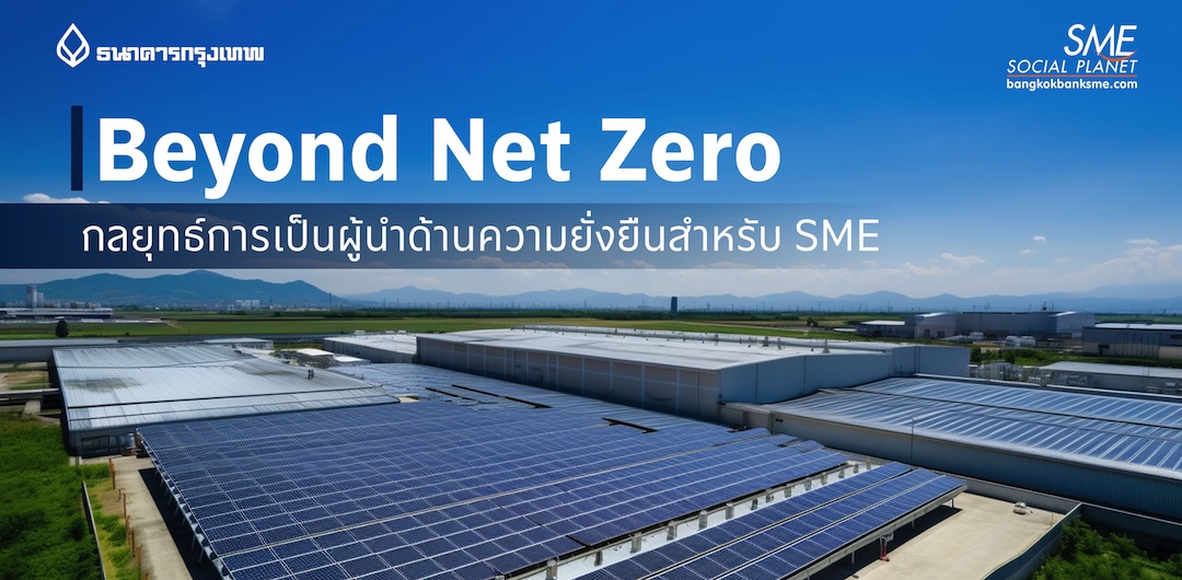 Beyond Net Zero:  กลยุทธ์การเป็นผู้นำด้านความยั่งยืนสำหรับ SME