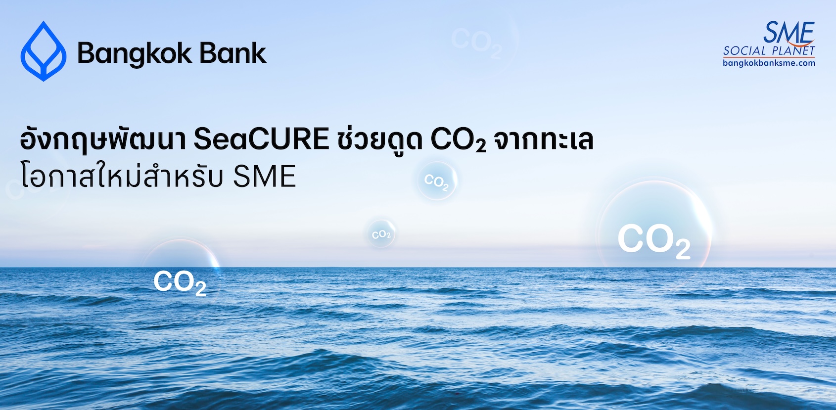 อังกฤษพัฒนา SeaCURE ช่วยดูด CO₂ จากทะเล โอกาสใหม่สำหรับ SME