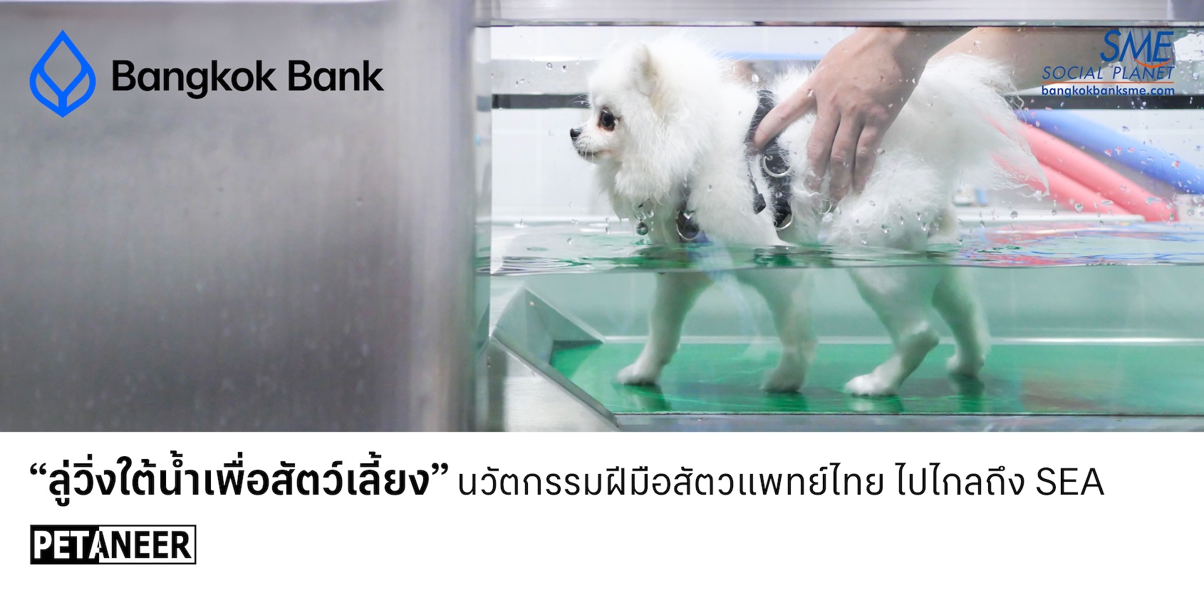 “ลู่วิ่งใต้น้ำเพื่อสัตว์เลี้ยง” นวัตกรรมฝีมือสัตวแพทย์ไทยที่ไปไกลถึง SEA
