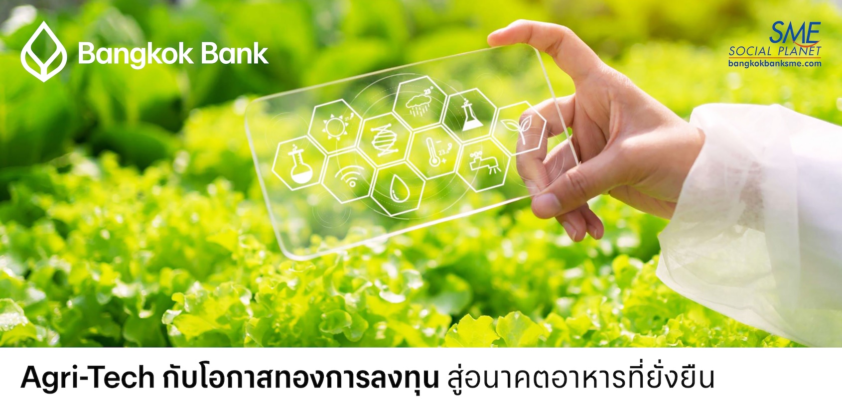 Agri-Tech กับโอกาสทองการลงทุน สู่อนาคตอาหารที่ยั่งยืน