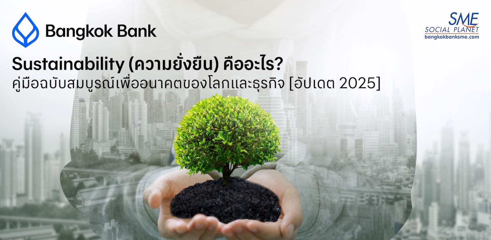 Sustainability (ความยั่งยืน) คืออะไร? คู่มือฉบับสมบูรณ์เพื่ออนาคตของโลกและธุรกิจ [อัปเดต 2025]