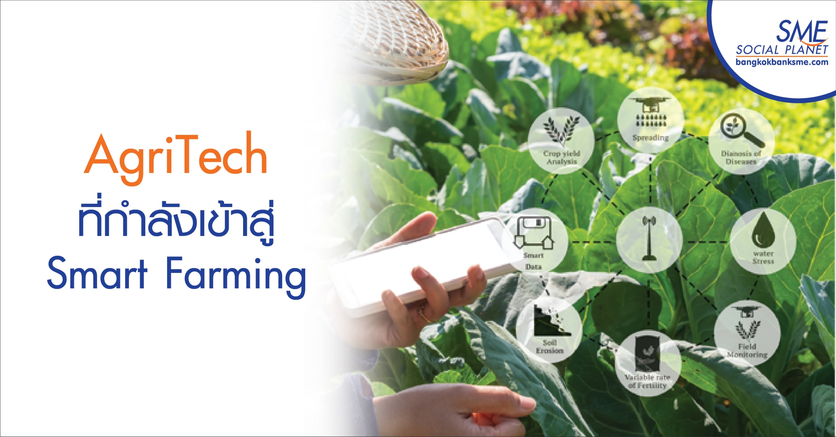 AgriTech ที่กำลังเข้าสู่ Smart Farming