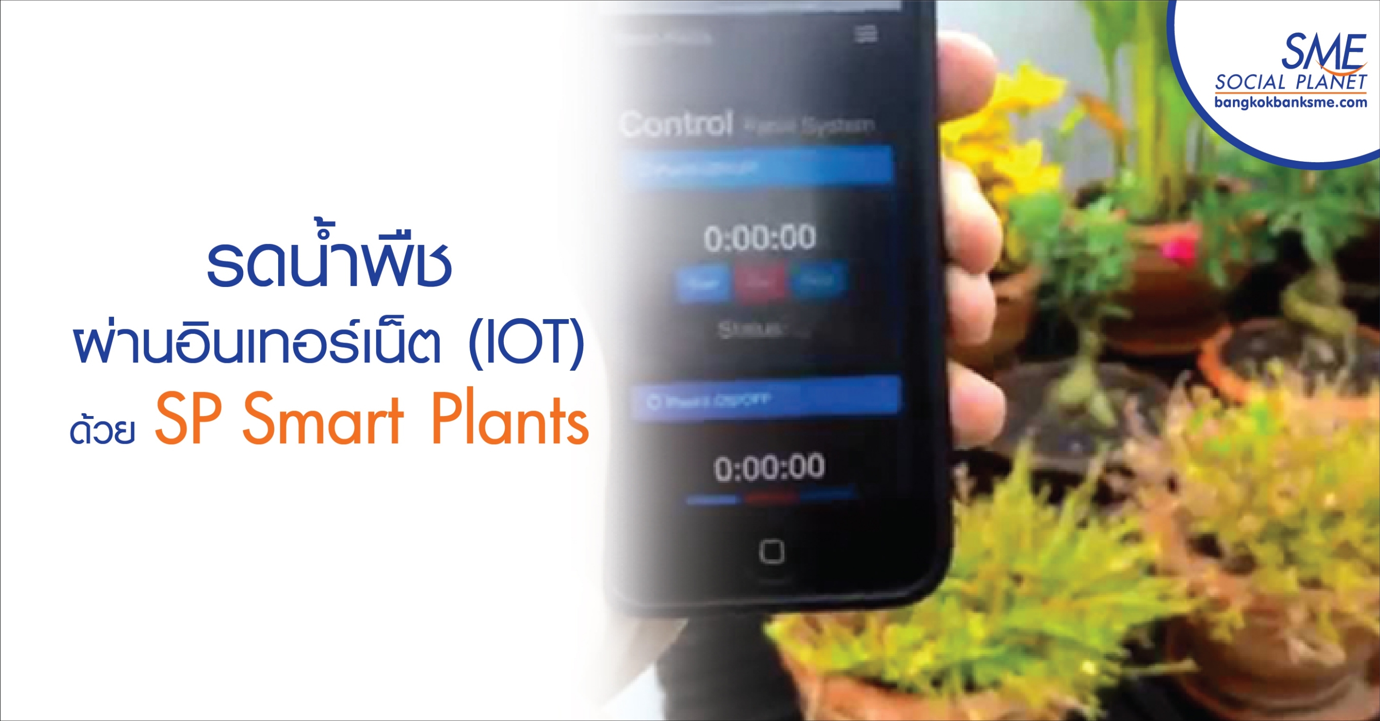 รดน้ำพืชผ่านอินเทอร์เน็ต (IOT) ด้วย SP Smart Plants