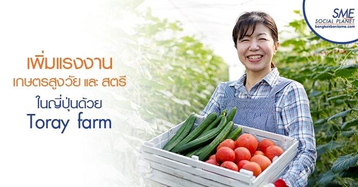 เพิ่มแรงงานเกษตรสูงวัยและสตรีในญี่ปุ่นด้วย Toray farm