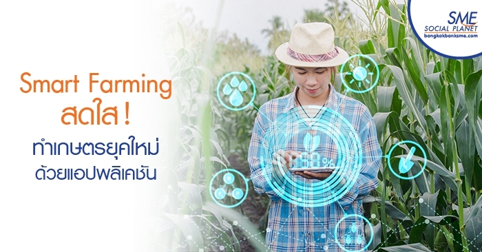 Smart Farming สดใส! ทำเกษตรยุคใหม่ด้วยแอปพลิเคชัน