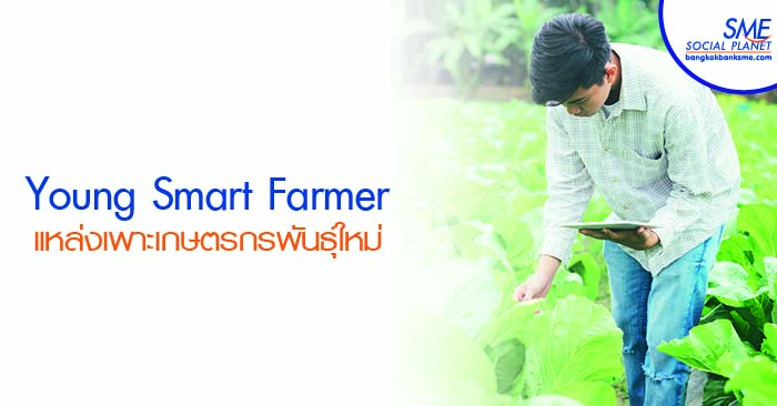 ‘Yong Smart Farmer’ หัวใจสำคัญสู่การพัฒนาภาคเกษตรไทย