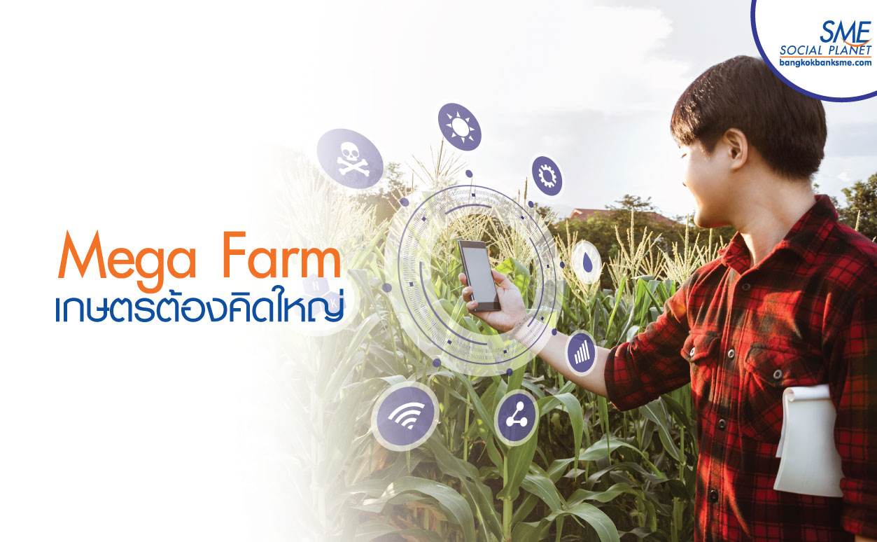 Mega Farm Enterprise ต่อยอดนโยบายเกษตรแปลงใหญ่